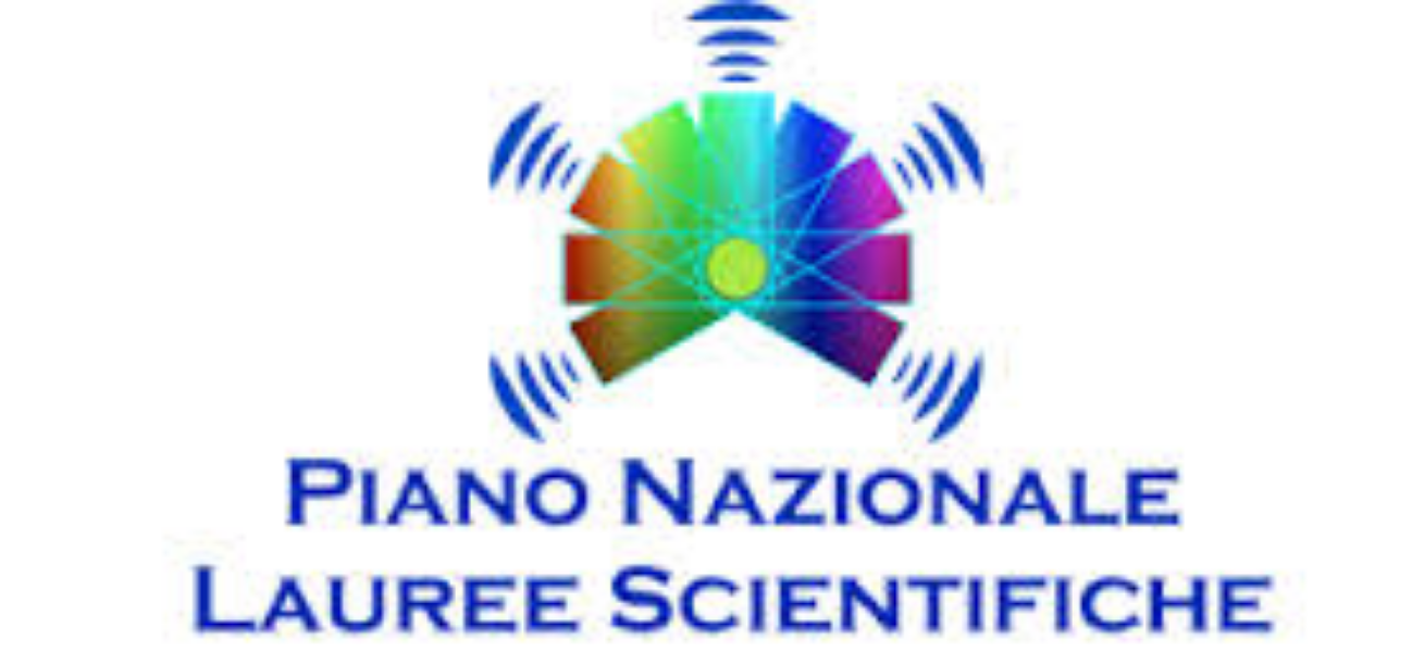 Comunicazione 033 PLS Matematica